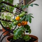 Jak udekorować balkon w bloku, by stał się przytulną oazą spokoju
