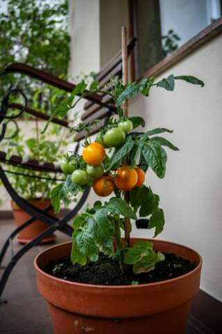 Jak udekorować balkon w bloku, by stał się przytulną oazą spokoju