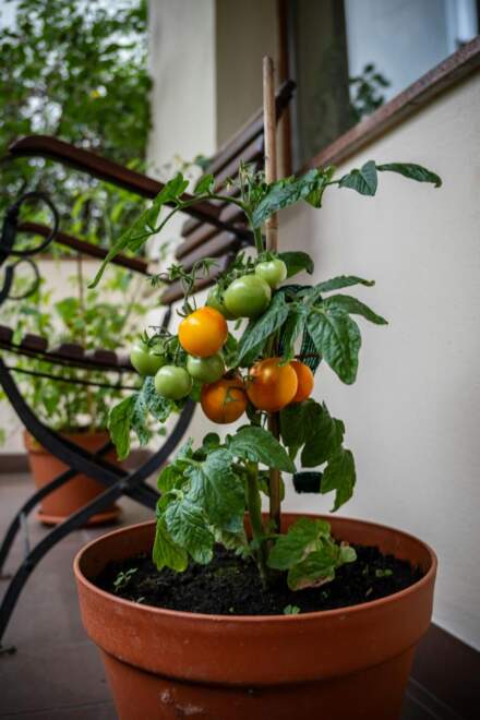 Jak udekorować balkon w bloku, by stał się przytulną oazą spokoju