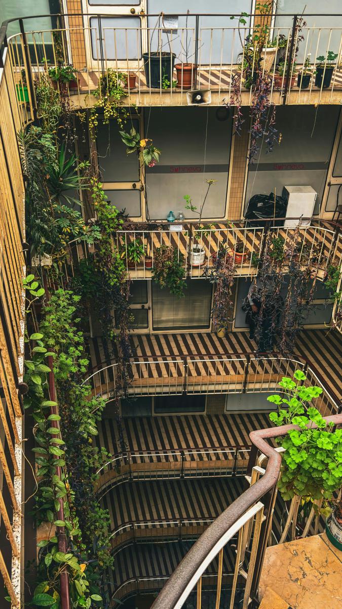Balcony garden-c70252eb9b7b43f889e7356ed4714bc8.jpg Balcony garden