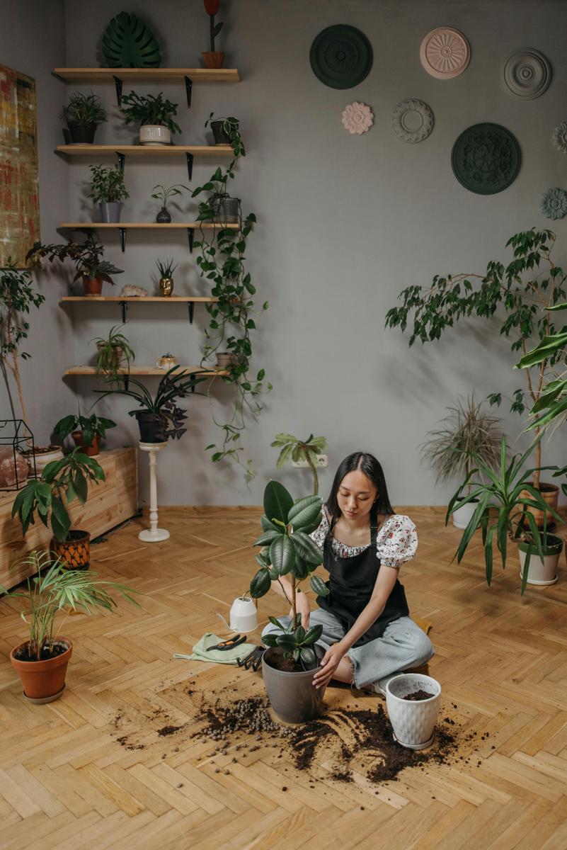 eco-friendly living