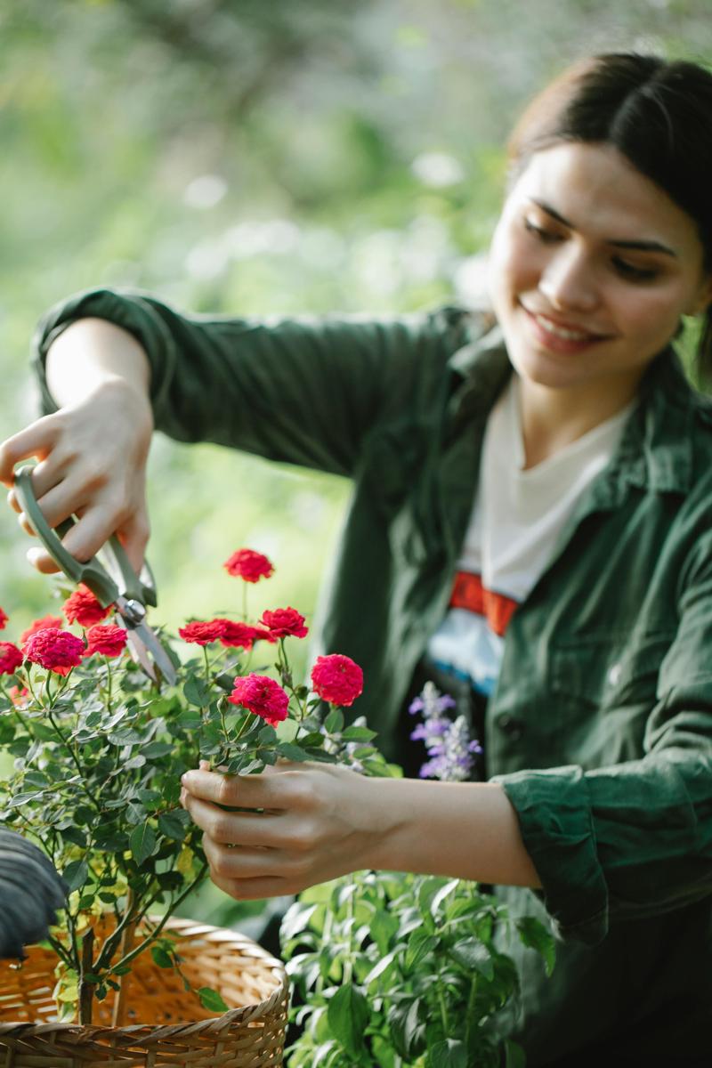 flower basket