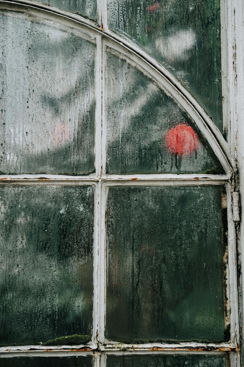 rustic greenhouse