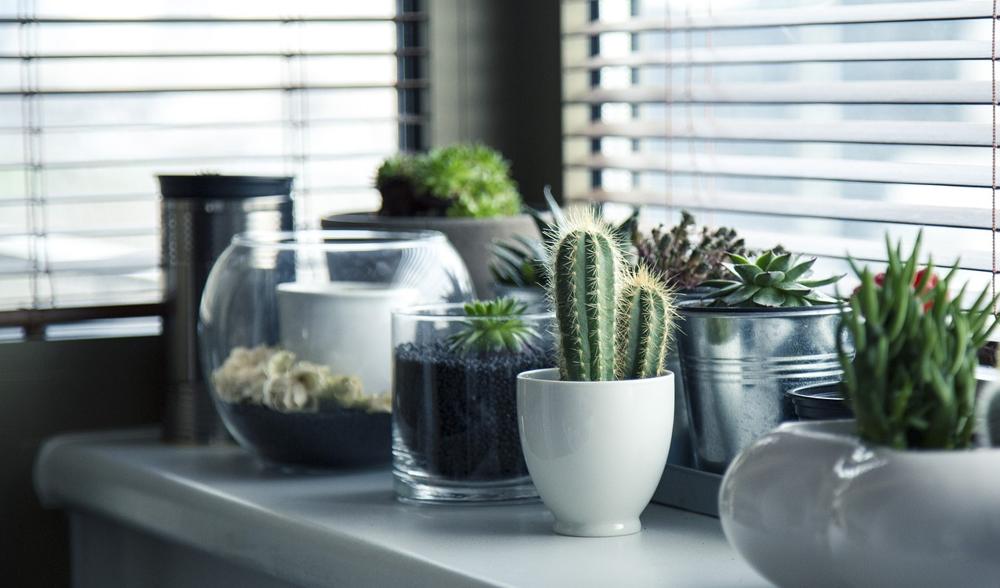 shelf decor